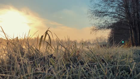 autumn frosty morning