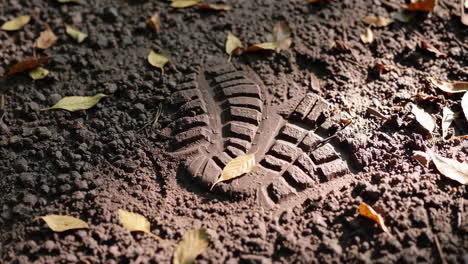 bootprint in dirt with fallen leaves