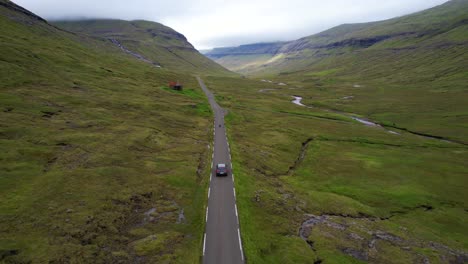 faroese sheeps cross street while car drives along one lane road in saksun, faroe islands