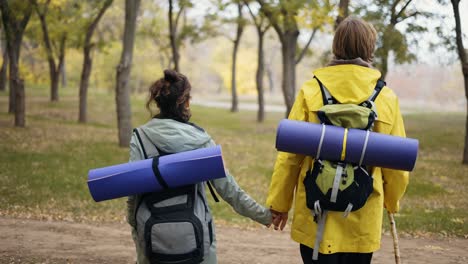 unrecognizable couple backpackers walking by forest, holding hands together