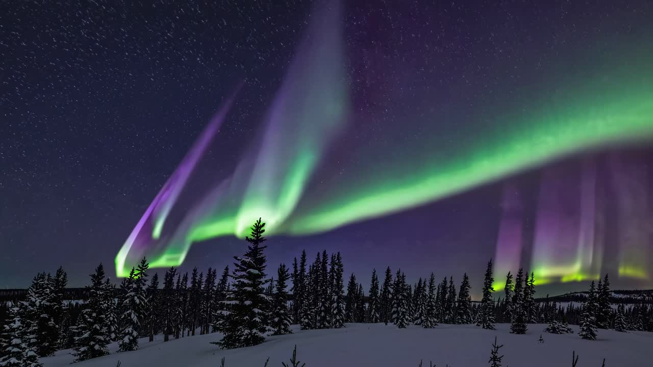 A wide-angle video captures the ethereal beauty of the Northern Lights dancing over a snowy forest