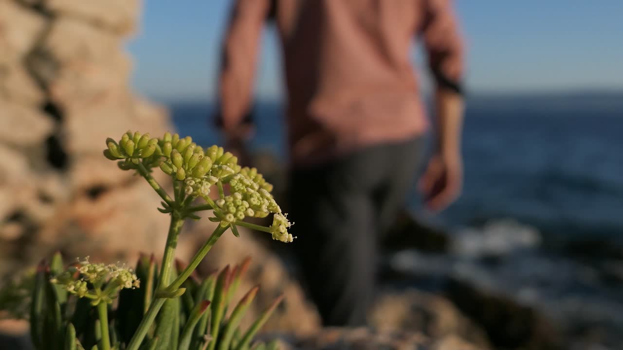 Detail di tepi laut, turis berjalan di pantai berbatu, Mediterania