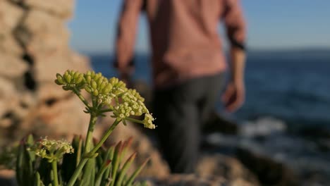 Detail-by-the-sea,-tourist-walking-in-rocky-beach-seaside,-Mediterranean