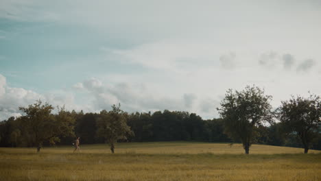 Female-tourist-walking-on-grass-against-cloudy-sky