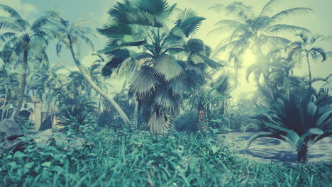 Hintergrund-Des-Natürlichen-Palmblattbaumzweigs