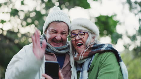 video call, phone and senior couple in nature