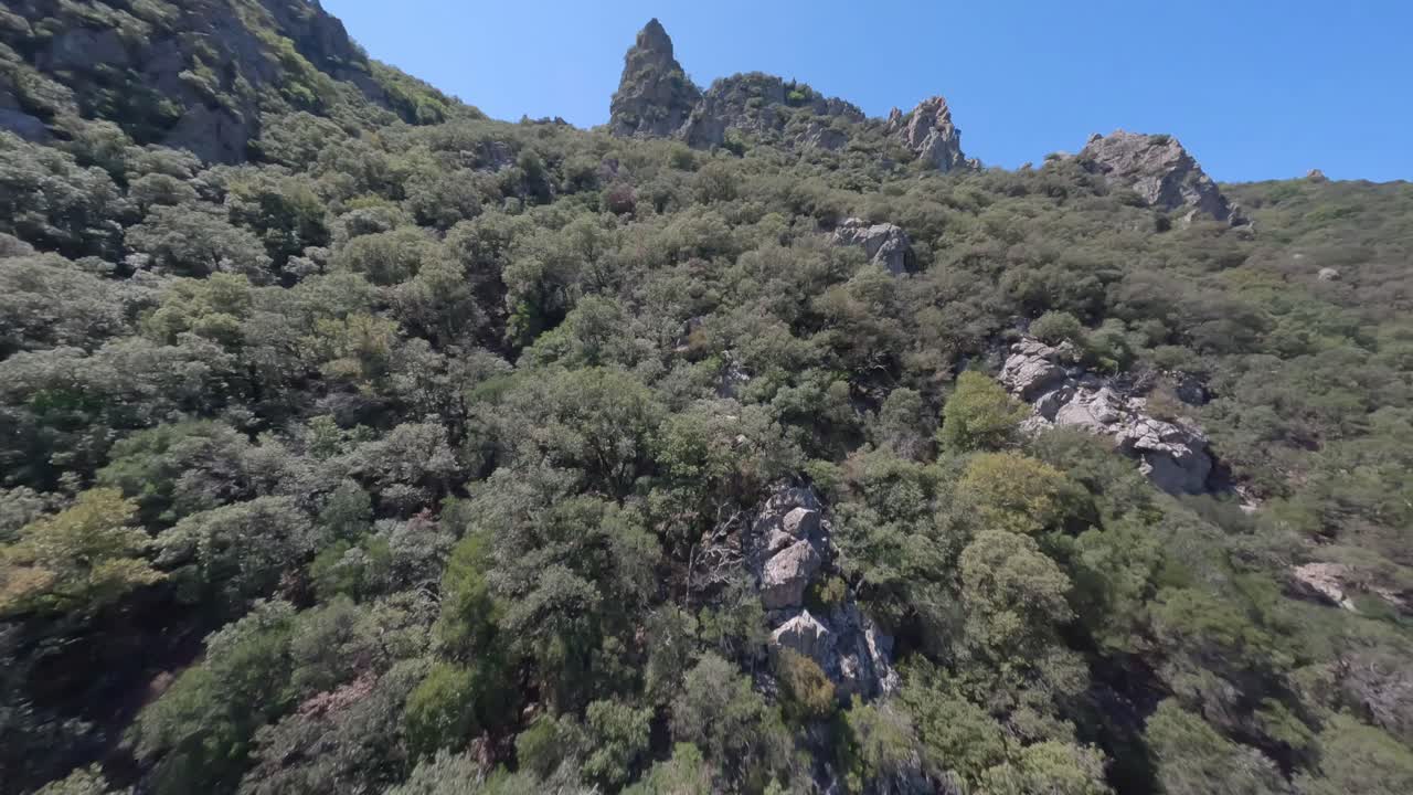 cinematográfico fpv levantamiento filmado en la ladera de la montaña boscosa en el desfiladero de heric, francia