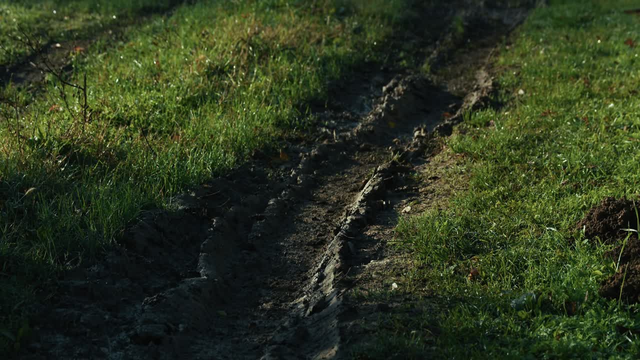 muddy dirt path with deep tire tracks cutting through grass at Lonjsko Polje Krapje
