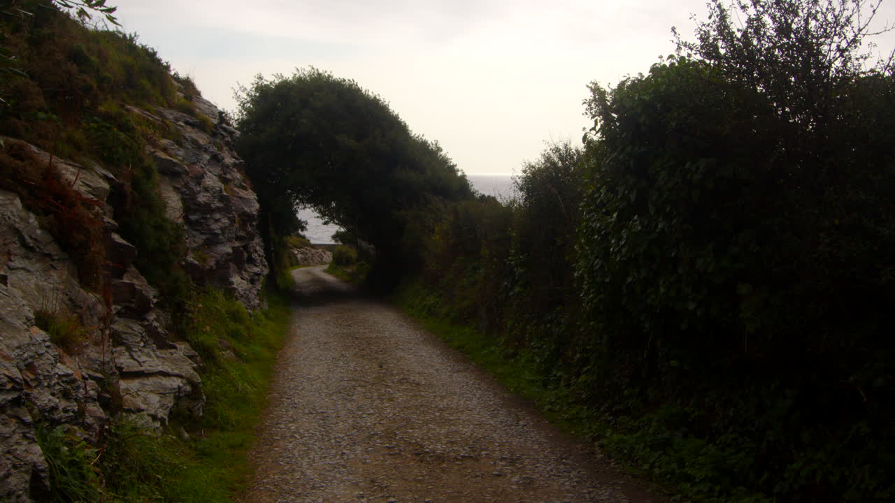 wide shot of trees over growing country lane on to rocks at Bessy's Cove, The Enys, cornwall