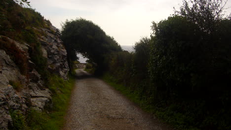 wide shot of trees over growing country lane on to rocks at Bessy&#039;s Cove, The Enys, cornwall