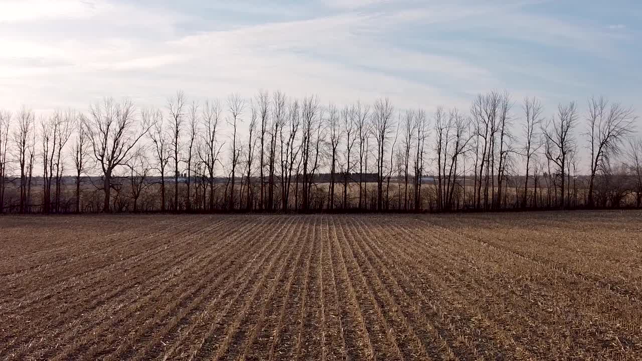 Flaches Ackerland bis zum Horizont nach der Weizenernte, ländliches Kanada, Luftaufnahme