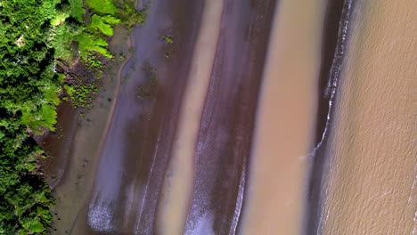 Aerial-overhead-of-trees,-sandbanks-and-brown-water-at-Rio-de-la-Plata