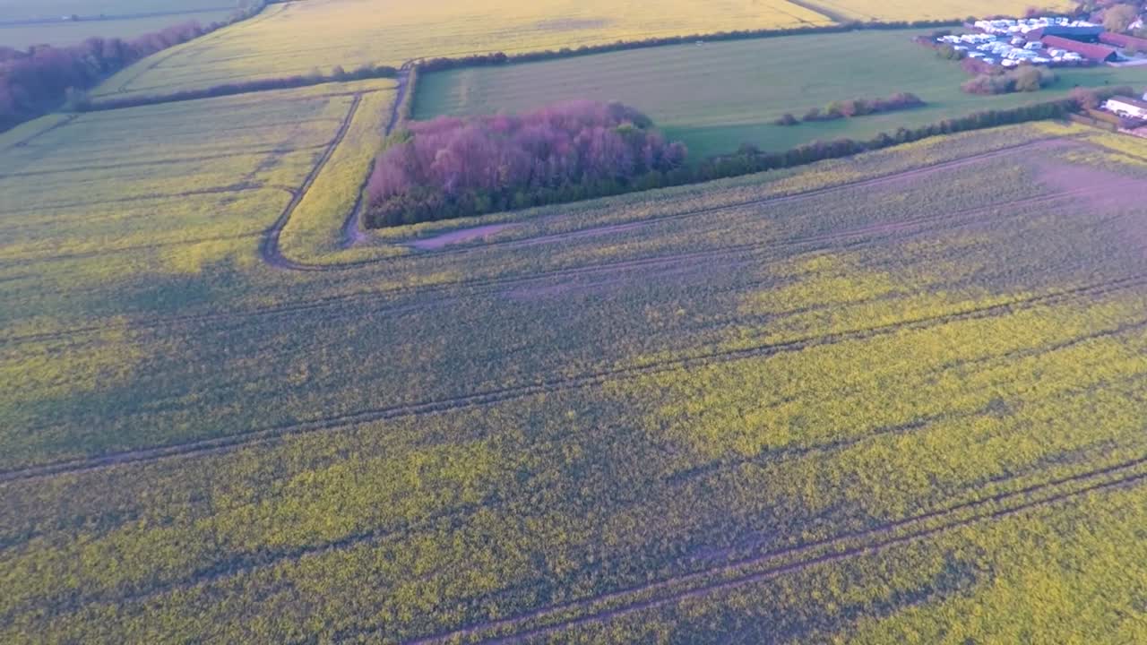 Flying over beautiful yellow fields as the sun slowly sets-1