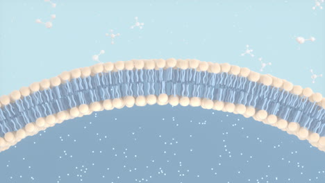 cell membrane and molecules, 3d rendering.