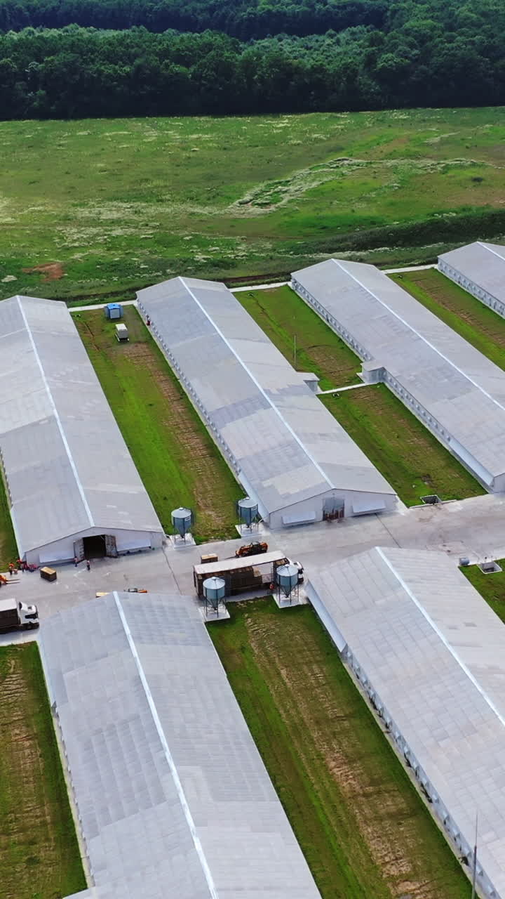 Farm buildings in countryside. Aerial view of building of the poultry farm in the field Vertical video