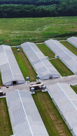 farm buildings in countryside. aerial view of building of the poultry farm in the field vertical video