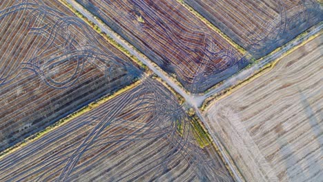 tomada de drones de algunos campos de cultivo