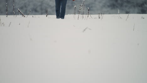 person walking in the forest