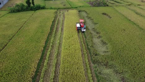 Vista-Aérea-De-La-Máquina-Cosechadora-Con-Arrozales.