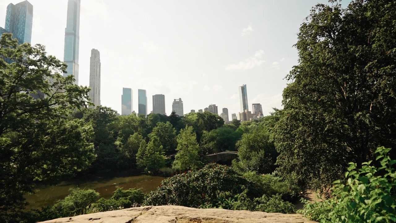 Vista del horizonte de Nueva York desde Central Park