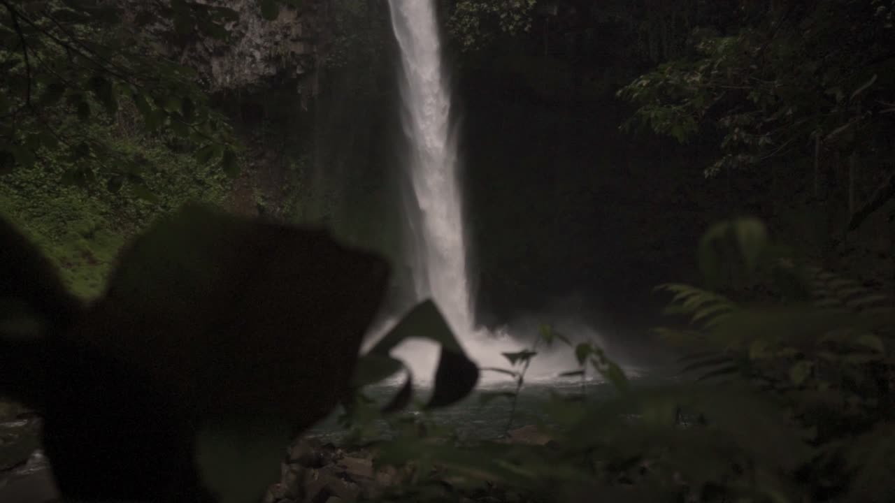 This image captures a detail of the dense jungle environment surrounding the La Fortuna Waterfall
