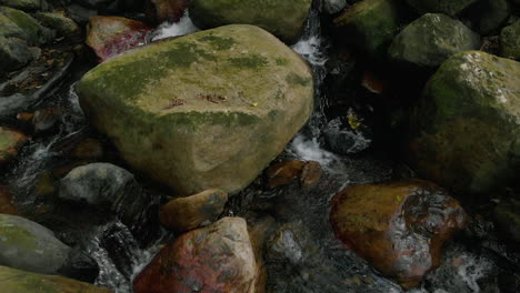 river and stones