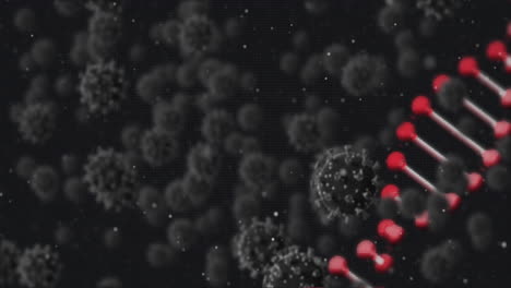 animación de la cadena de adn girando sobre las células de covid 19 que caen en un fondo oscuro