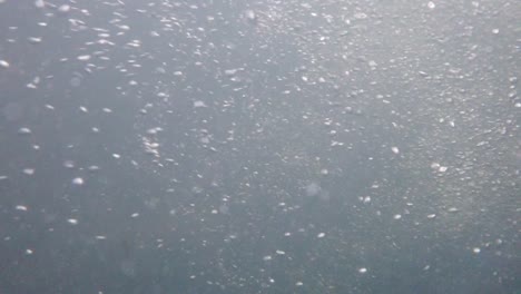 underwater recording at high resolution of the bubbles circulation