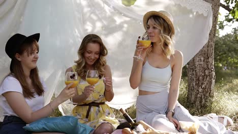 three attractive women celebrating. drinking orange cocktails from wineglasses. sitting and smiling. cheers. picnic or hen party concept