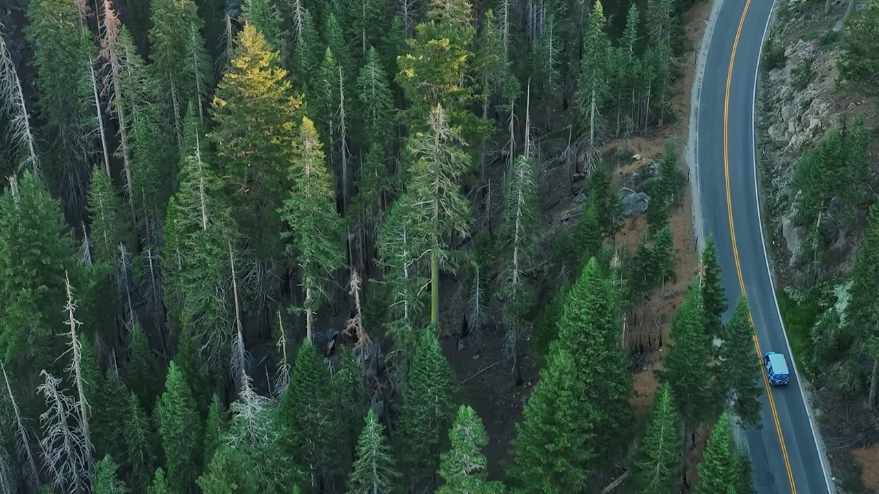 Vista dall'alto di una strada tortuosa tra gli alberi negli Stati Uniti