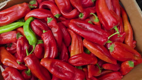 Chili-Rojo-A-La-Venta-En-El-Mercado-De-Ghardaia,-Argelia