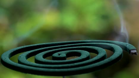 burning green mosquito coil in japanese house. summer season concept video.