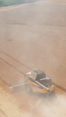 agricultural combine farming in the field. golden ripe wheat harvesting aerial view. vertical video