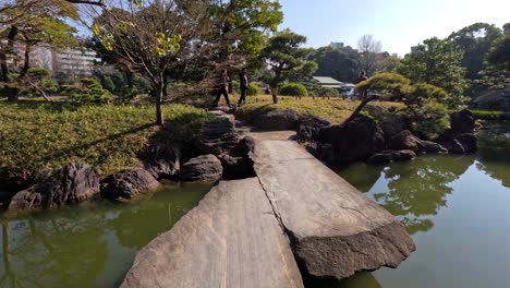 peaceful stroll across stepping stones over water