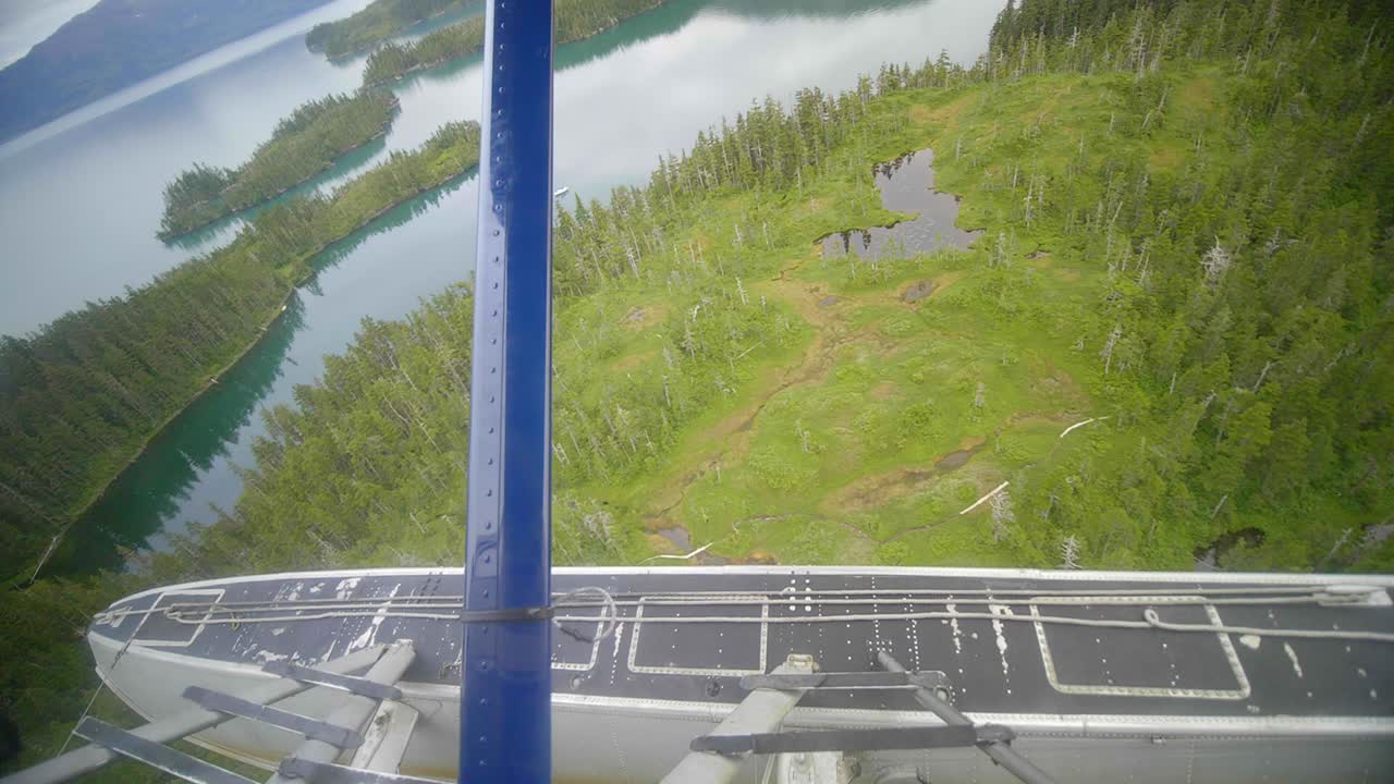 Floatplane Flying Above Scenic Alaskan Coastline, USA. Passenger POV Over Floats On Green Forest and Ocean