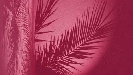 a-palm-leaves-shadow-on-red-background-wall-with-copy-space