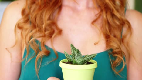 primer plano de una florista que sostiene una planta en maceta