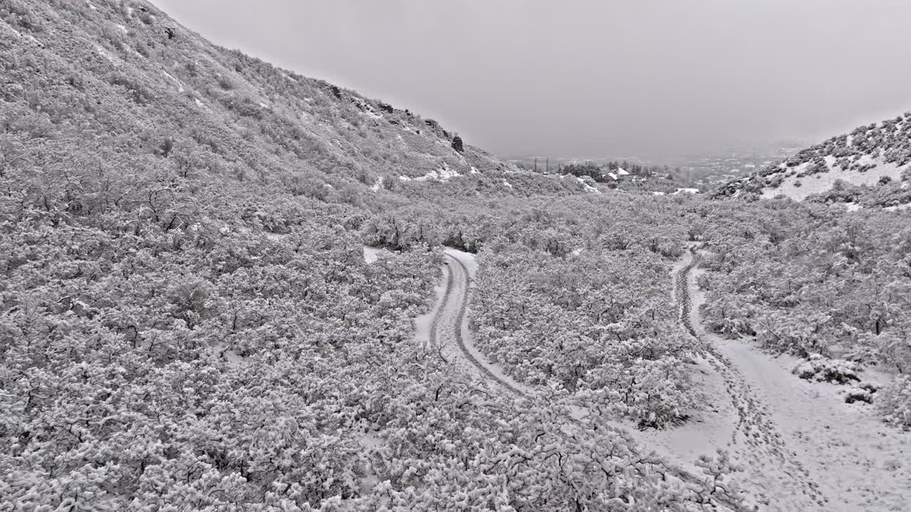 새 타이어와 하이킹 트랙과 함께 눈으로  ⁇ 인 협곡의 파노라마 항공 전망 나무 사이의 트레일