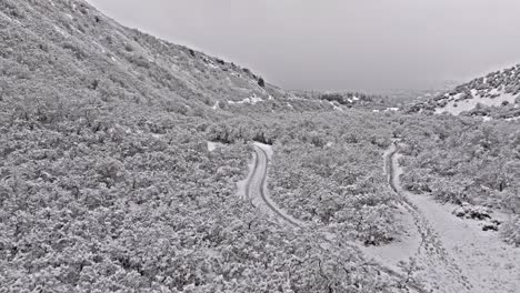 Vista-Aérea-Panorámica-Del-Cañón-Cubierto-De-Nieve-Con-Neumáticos-Nuevos-Y-Rutas-De-Senderismo-En-Senderos-Entre-árboles