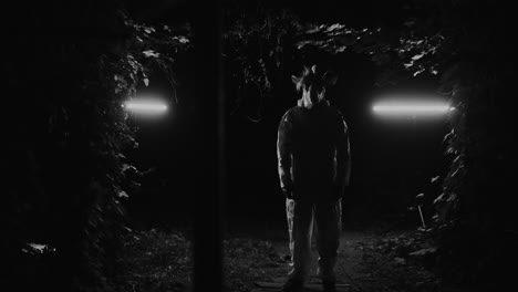 night stalker in forest