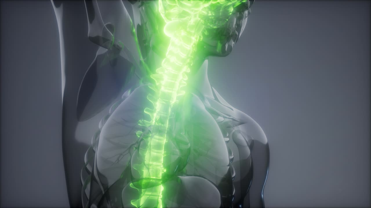 dolor de espalda en los huesos de la espalda