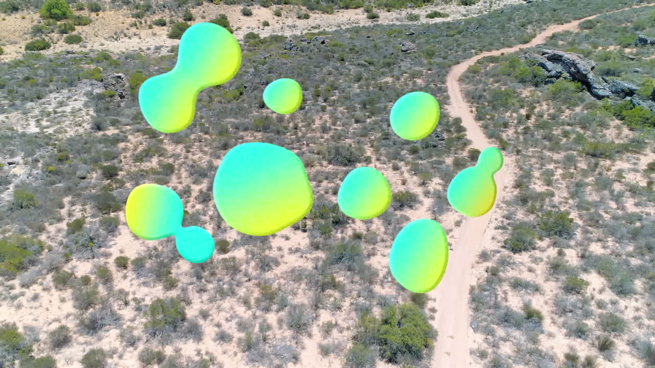 산림 경로의 공중 전망에 대한 복사 공간과 함께 그래디언트 추상 모양의 디지털 구성