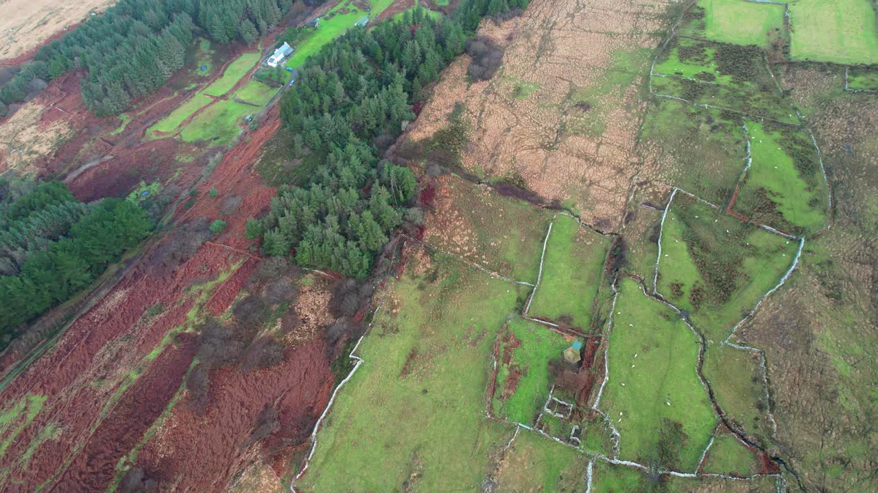 lugares épicos de irlanda vista de avión no tripulado de tierras de cultivo remotas y granja en ovejas cabeza oeste corcho en un frío día de invierno en una ubicación rural