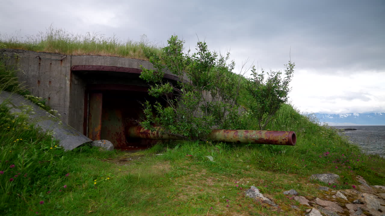 Smooth handheld shot of abandoned World War II coastal fort bunker with rusted cannon at Skrollsvik Fort on Senja Island, Norway. Overgrown concrete ruins by the sea