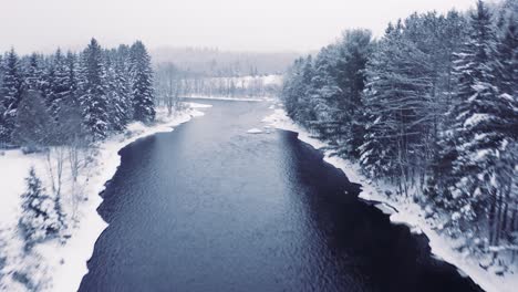 Foggy-Winter-Landscape---Drone-Flying-4K---Mountains---Trees,-rivers,-snowy