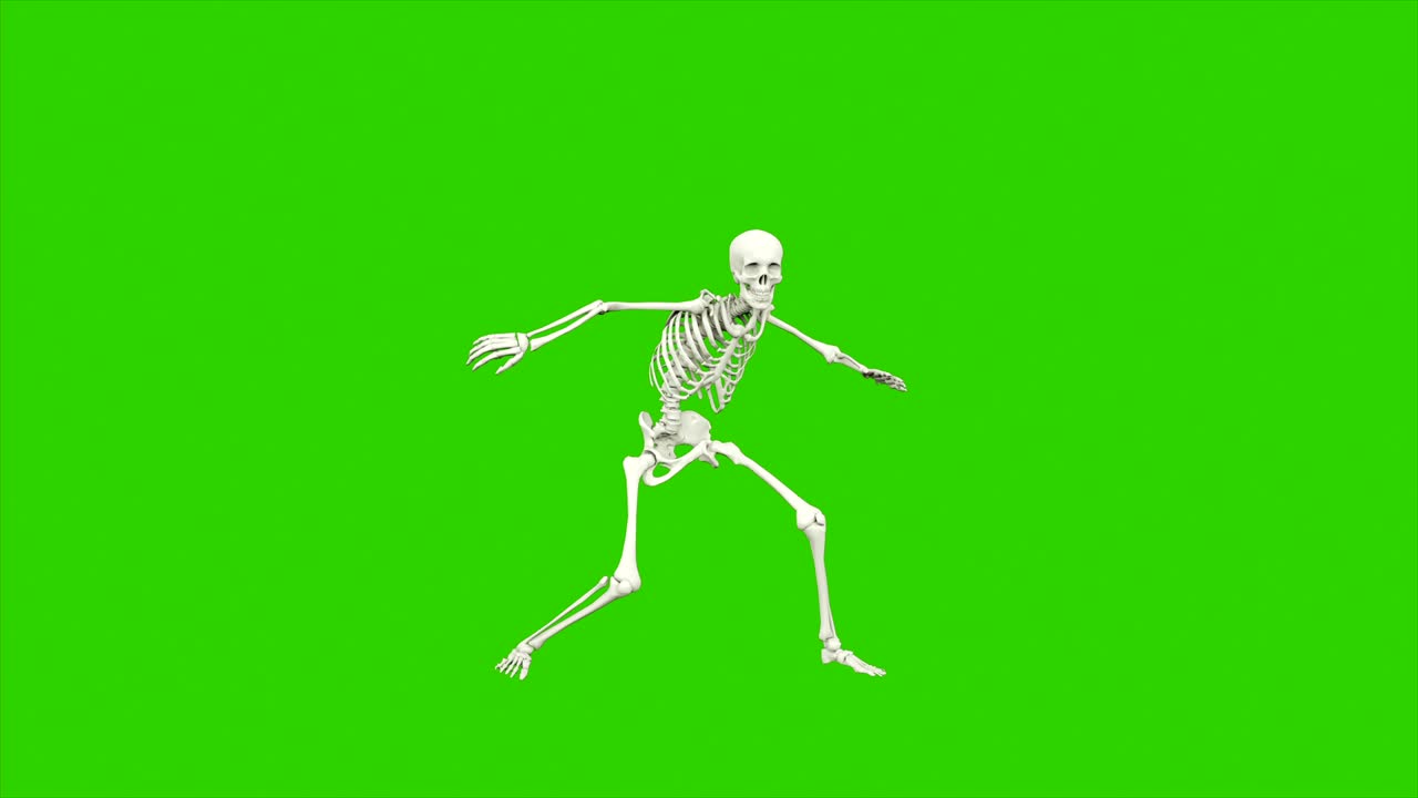 danza dello scheletro. animazione a loop senza soluzione di continuità sullo schermo verde.