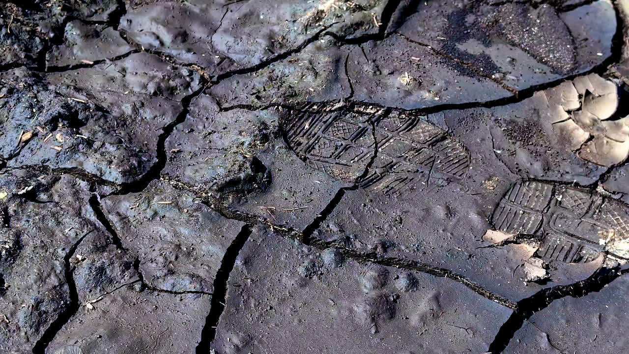 Footprints on cracked, dry earth showing evidence of human presence in a barren landscape