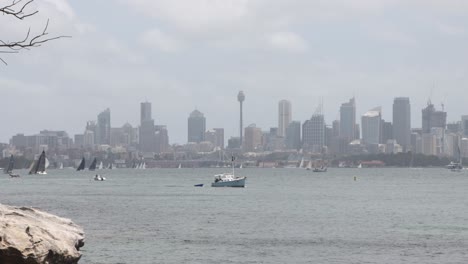 zoom shot of sydney's cbd with a lot of boats cruising in the harbour
