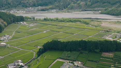 Vista-Aérea-De-Exuberantes-Granjas-De-Té-Junto-Al-Río-En-Kawane-Shizuoka,-Japón---Disparo-De-Drones