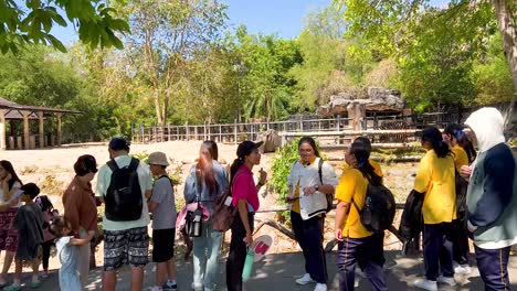 group of students exploring a zoo environment